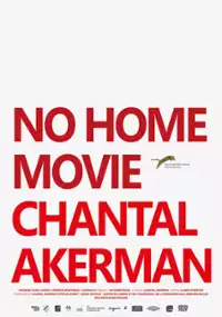 Plakat filmu No Home Movie