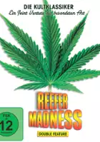 plakat filmu Marihuanowe szaleństwo