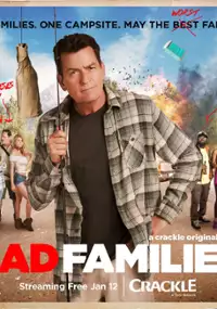Plakat filmu Mad Families