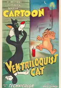 Plakat filmu Kot brzuchomówca