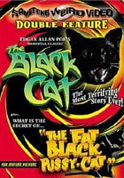 plakat filmu The Black Cat