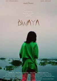 Plakat filmu Krokodyl