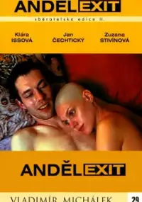 Plakat filmu Angel Exit