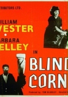 plakat filmu Blind Corner