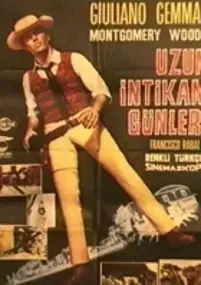 Plakat filmu I lunghi giorni della vendetta