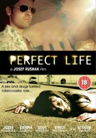 plakat filmu Perfect Life