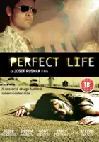 plakat filmu Perfect Life