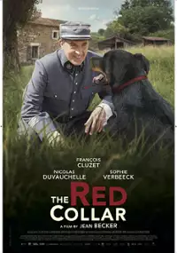 Plakat filmu Czerwona obroża
