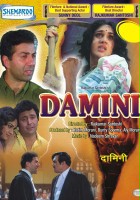 plakat filmu Damini