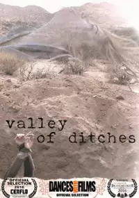 Plakat filmu Valley of Ditches