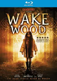 Plakat filmu Wake Wood