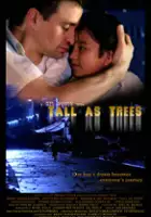 Chin Chin Gutierrez / Tall as Trees