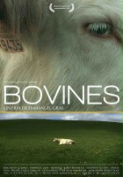 plakat filmu Bovines
