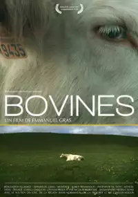 Plakat filmu Bovines