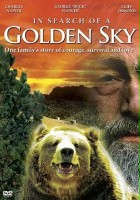plakat filmu In Search of a Golden Sky