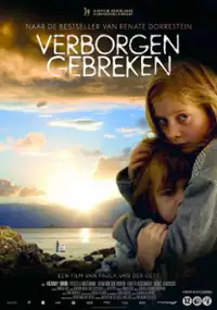 Plakat filmu Verborgen gebreken