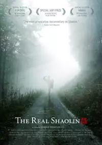 Plakat filmu Prawdziwy Shaolin