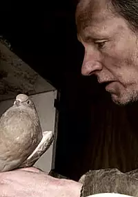 Plakat filmu Life of a Pigeon