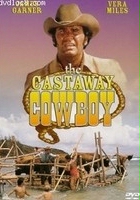 plakat filmu The Castaway Cowboy