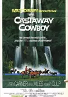 plakat filmu The Castaway Cowboy