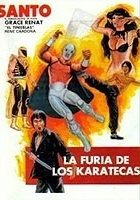 plakat filmu La furia de los karatecas
