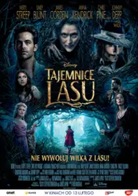 Plakat filmu Tajemnice lasu