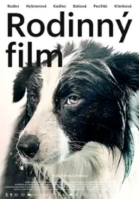 Plakat filmu Rodzina nade wszystko