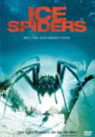 Cory McMillan / Pająki