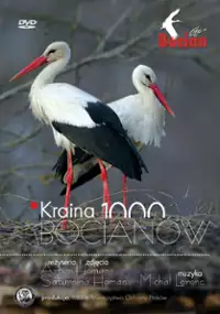 Plakat filmu Kraina tysiąca bocianów