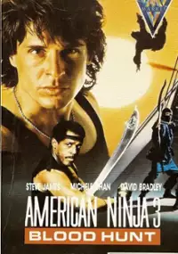 Plakat filmu Amerykański ninja 3