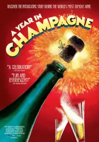Plakat filmu A Year in Champagne