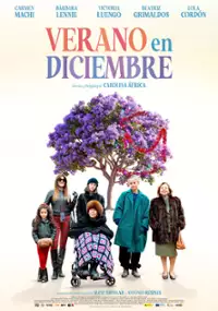 Plakat filmu Verano en diciembre