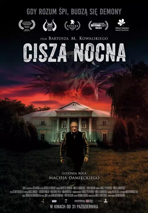 plakat filmu Cisza nocna