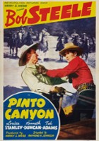 plakat filmu Pinto Canyon