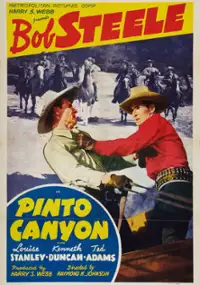 Plakat filmu Pinto Canyon