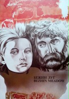 plakat filmu Łąki Bieżyńskie