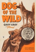 plakat filmu Dog of the Wild