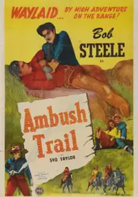 Plakat filmu Ambush Trail