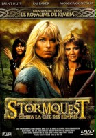 plakat filmu Stormquest