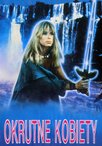 Plakat filmu Stormquest