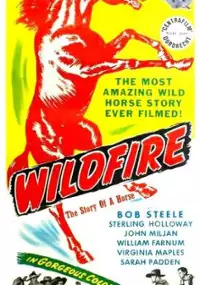 Plakat filmu Wildfire
