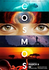 Kosmos (2014) plakat