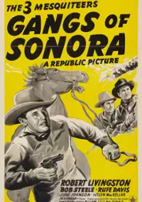 Plakat filmu Gangs of Sonora