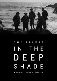Plakat filmu The Frames: In the Deep Shade
