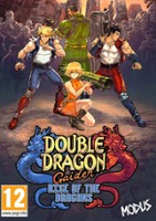 plakat filmu Double Dragon Gaiden: Rise Of The Dragons
