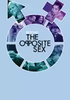 Stuart Krasnow / Beyond the Opposite Sex