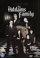 Jameson Brewer / Rodzina Addams&oacute;w