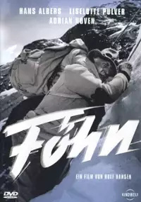Plakat filmu F&ouml;hn
