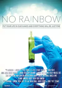 Plakat filmu No Rainbow