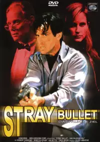 Plakat filmu Stray Bullet